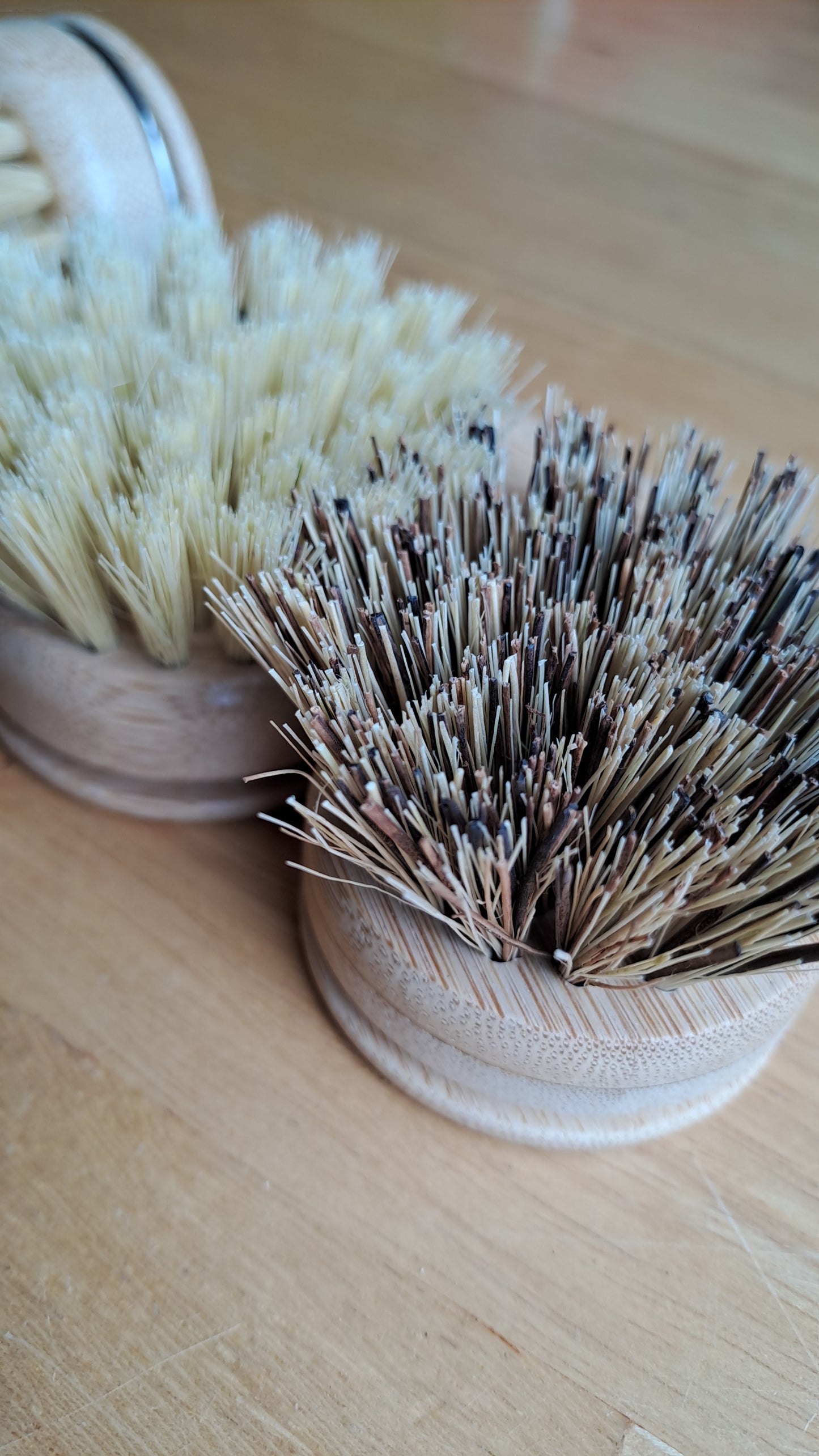 Bamboo Dish Brush Set (3 pcs)