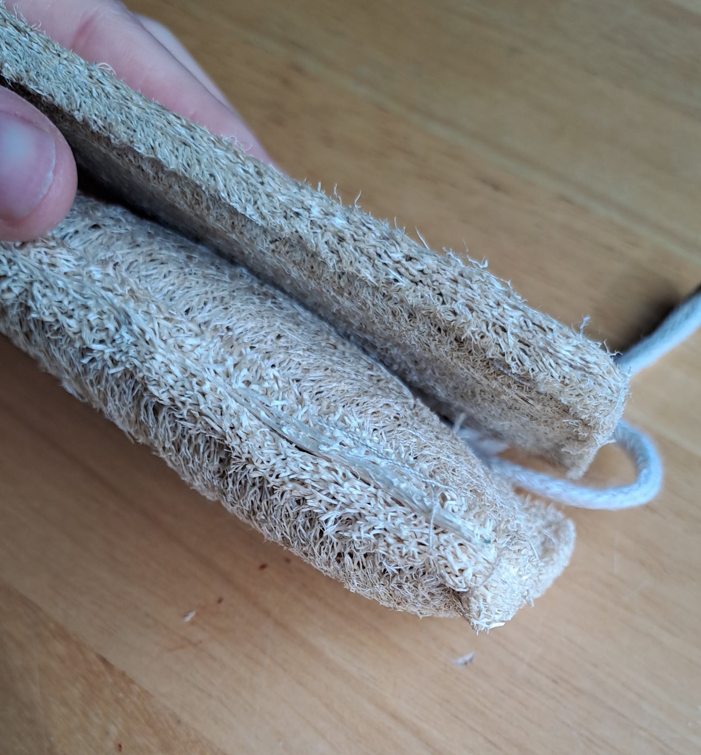 Natural Loofah Dish Sponge